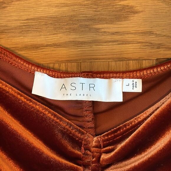 ASTR THE LABEL Vanya Velvet Ruched Sleeve Top - Picture 5 of 10
